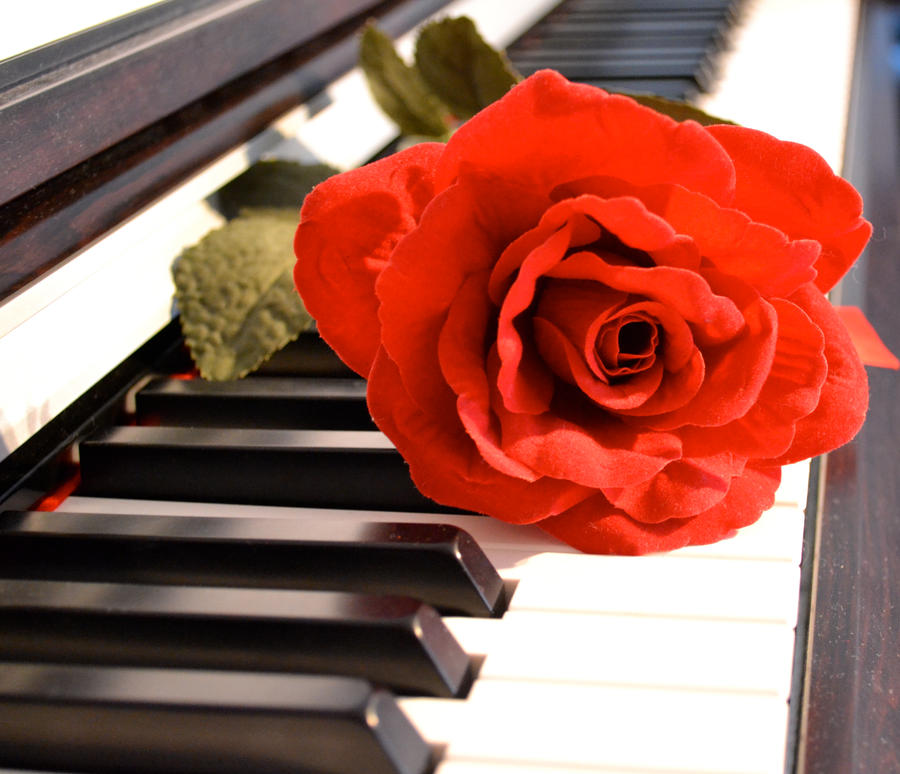 Шостакович душа. Скрипка и фортепиано романтика. Шостакович прелюдия 5 для фортепиано и скрипки. Шостакович душа слушать.