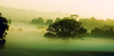 Morning Mist