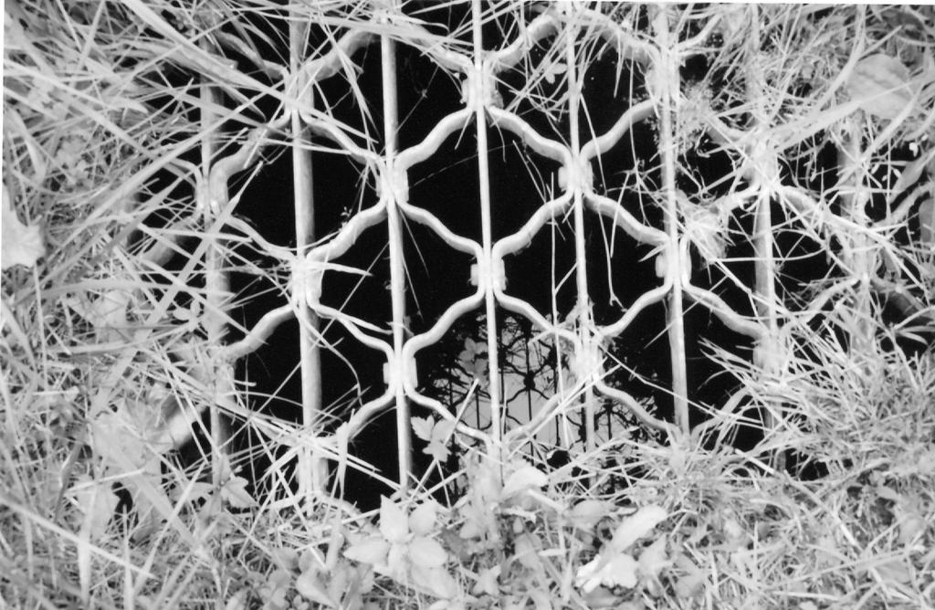 Classic Blk n Wht 010 by EsBest on DeviantArt