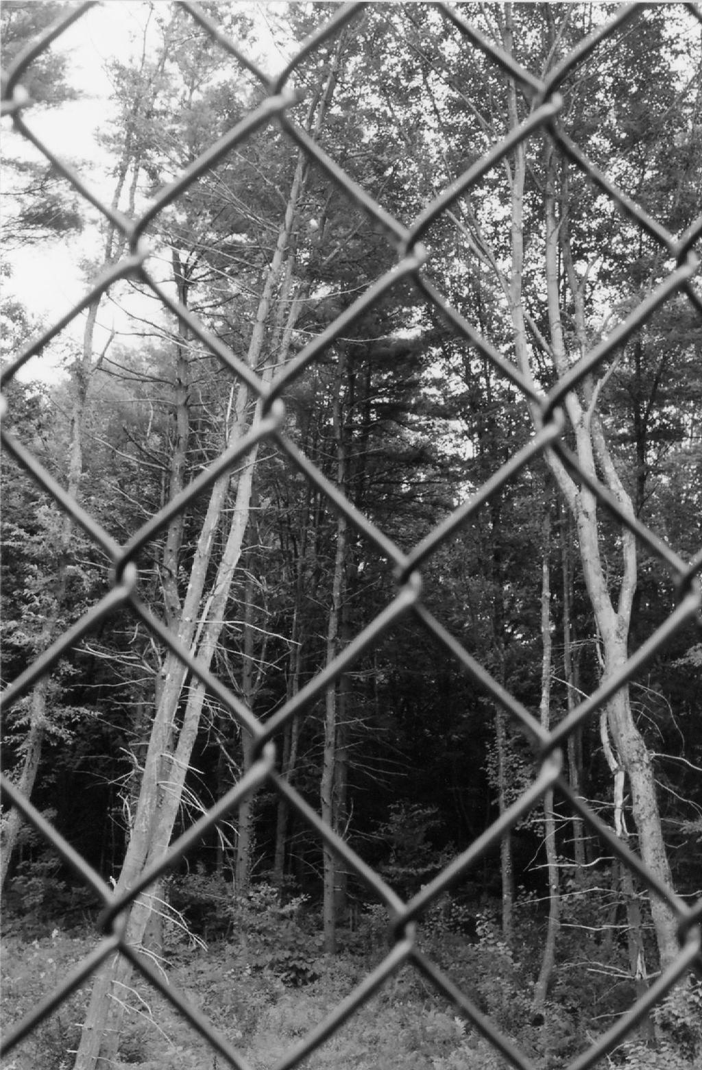 Classic Blk n Wht 011 by EsBest on DeviantArt