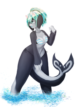 Orca Darling!