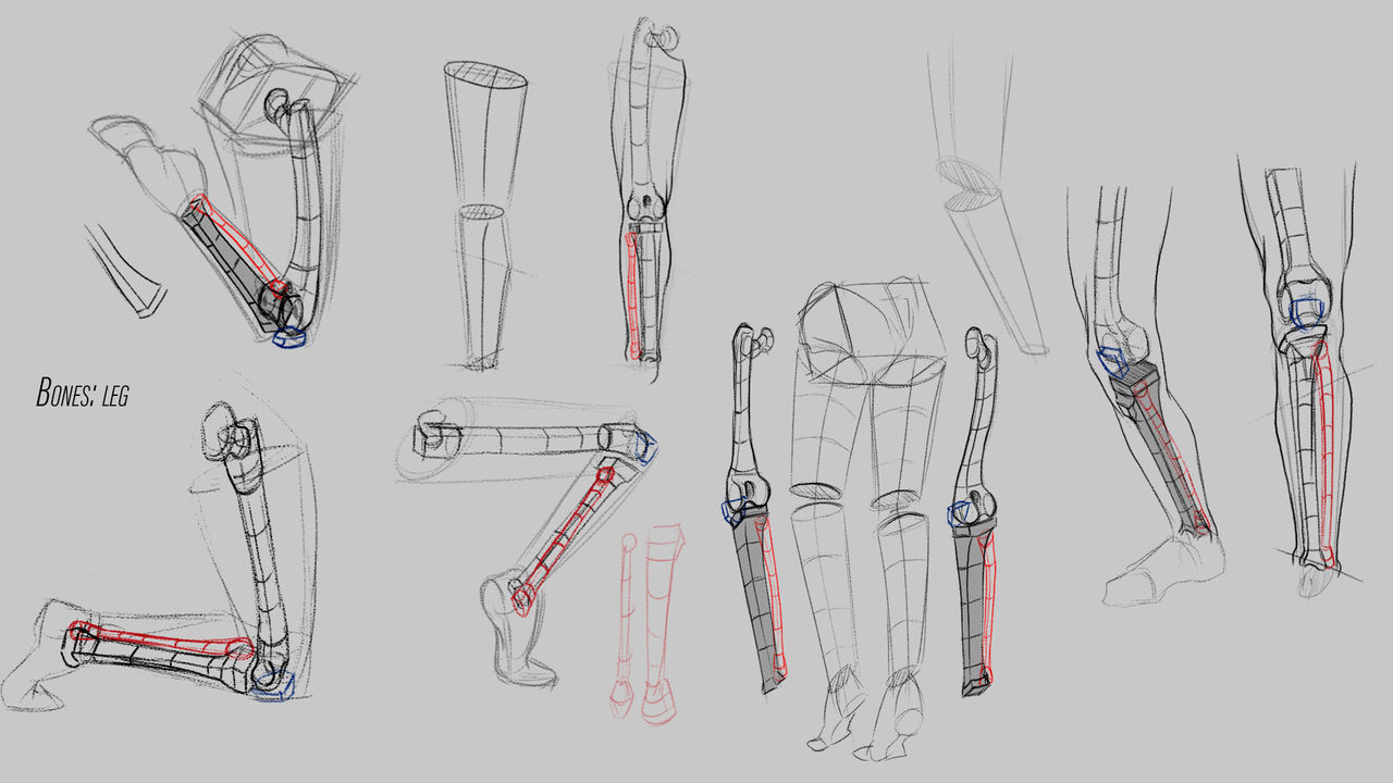 Leg Modification Deviantart Leg by HannaS2 on DeviantArt
