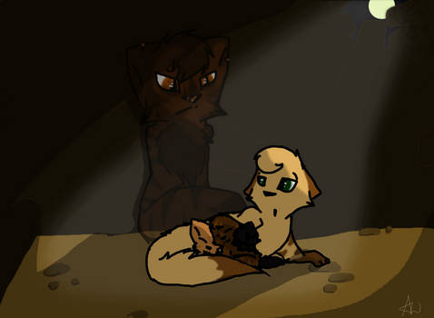 tigerstar and Sasha