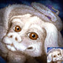 Falkor Portrait (Animated)