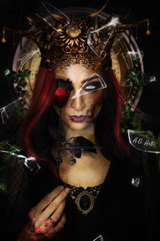 Behold A Dark Red Rose