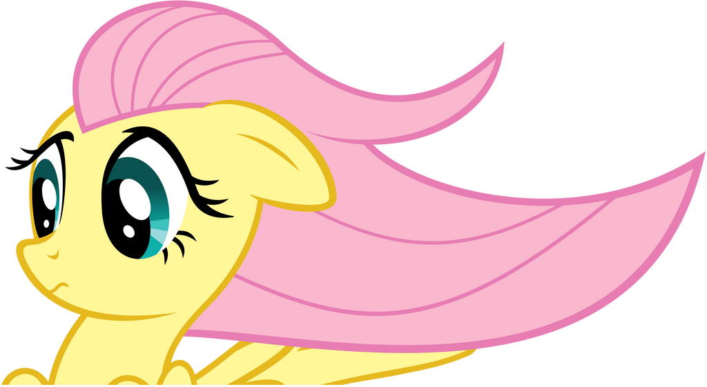 Flutter Deviantart Flutter-What? by flutterguy317 on DeviantArt