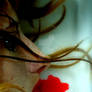 Fear Factor