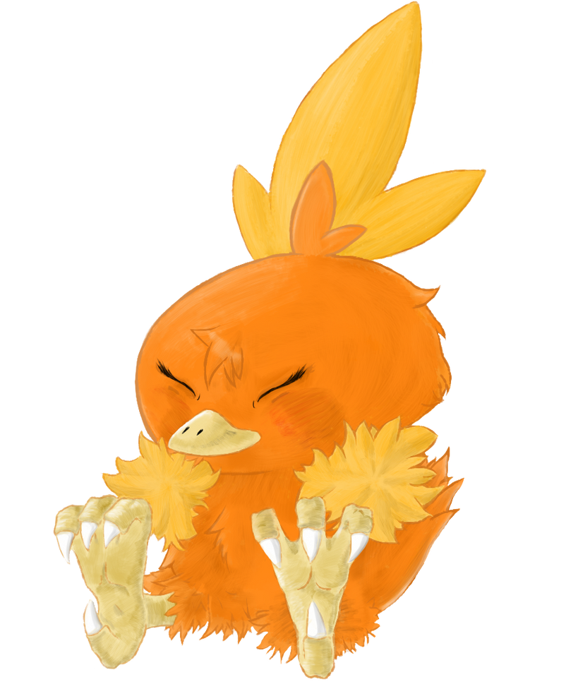 Torchic by Honokawa on DeviantArt