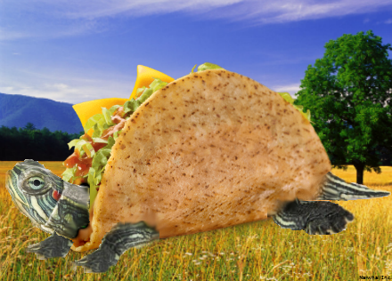 TacoTurtle by NarJack on DeviantArt