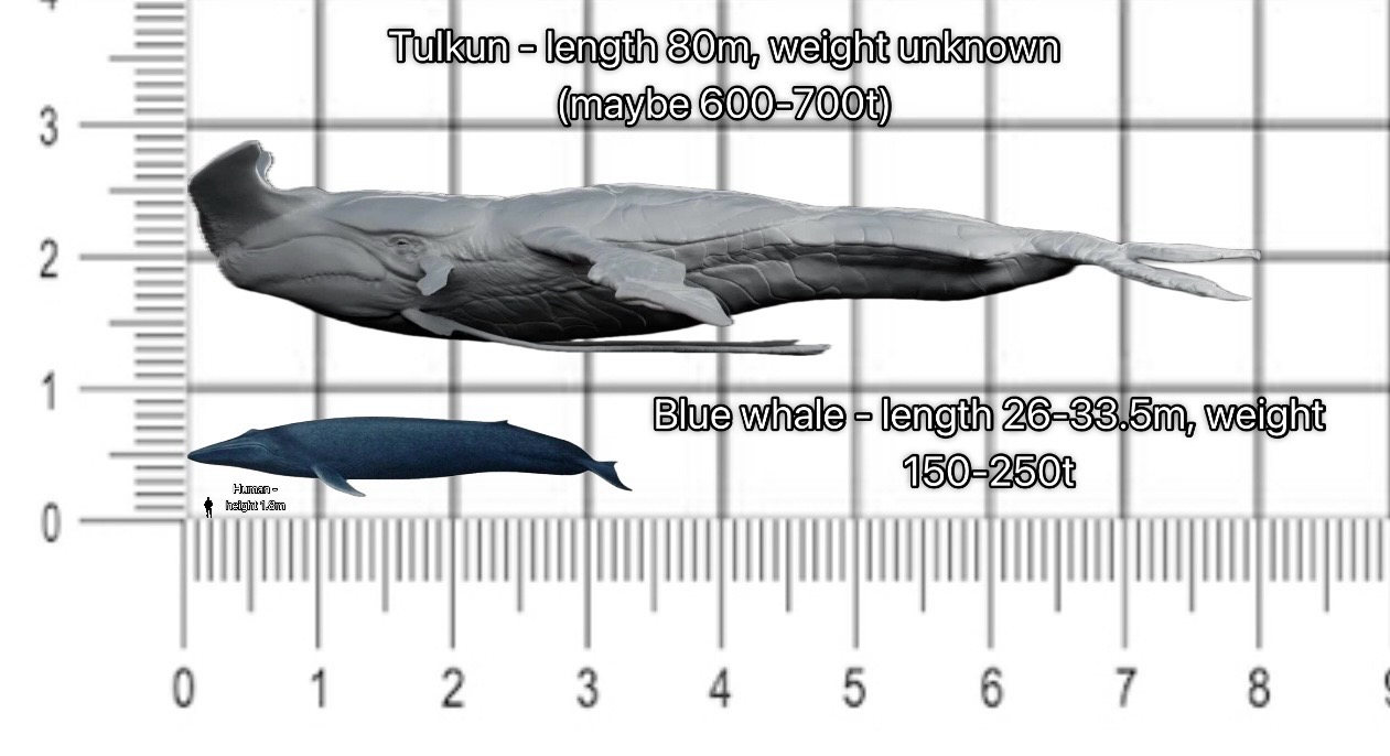 Blue whale and Tulkun by beninja1728 on DeviantArt