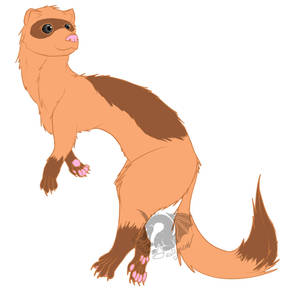 Ferret! - Request