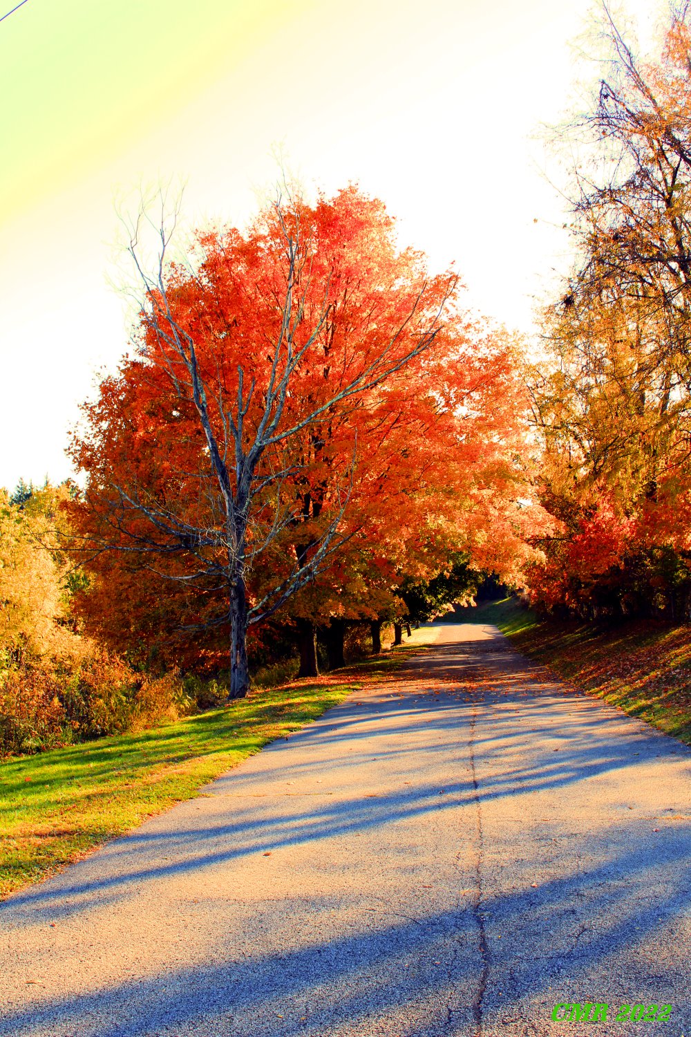 Fall Walk Graphics Fall Foliage Walk by charliemikeromeo on DeviantArt