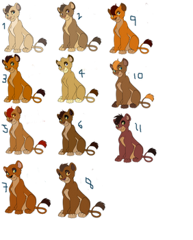 TLK BREED Adopts OPEN