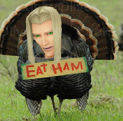 Turkey Vexen