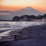 Fujisan by the bay