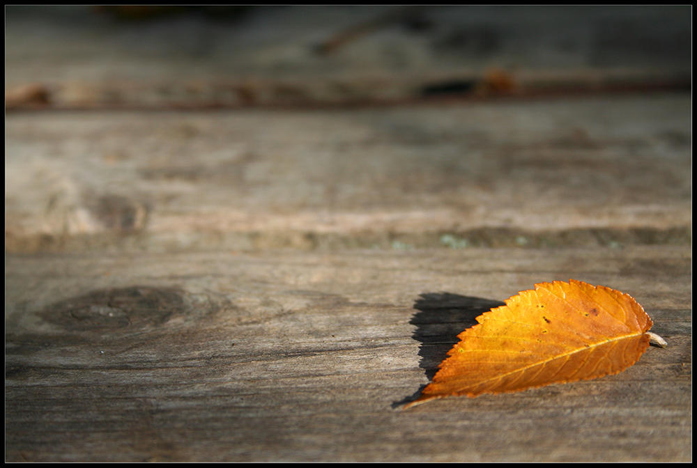 Fall: v2 by Leap on DeviantArt