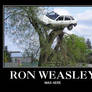 Ron Weasly...