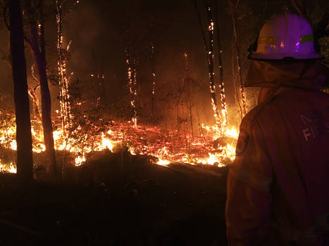 To Stand before the Flames