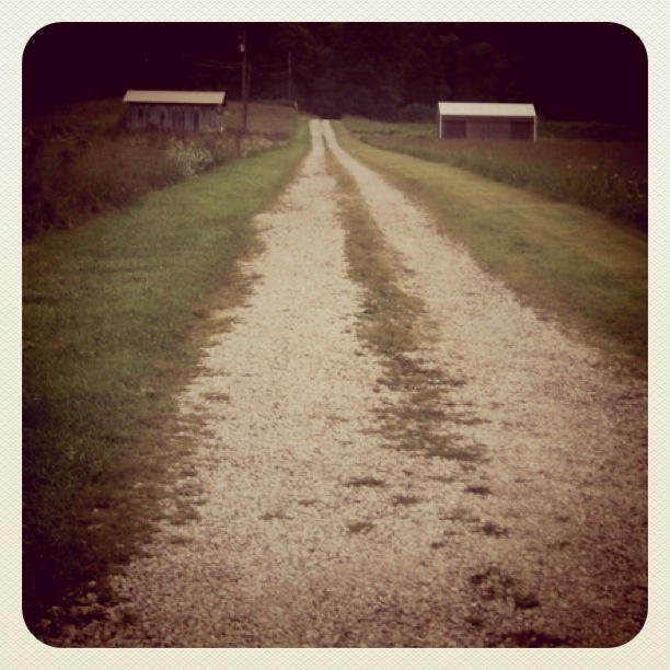 The path not taken by fifenashia on DeviantArt