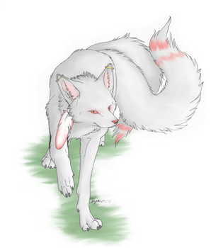 Albino Fox