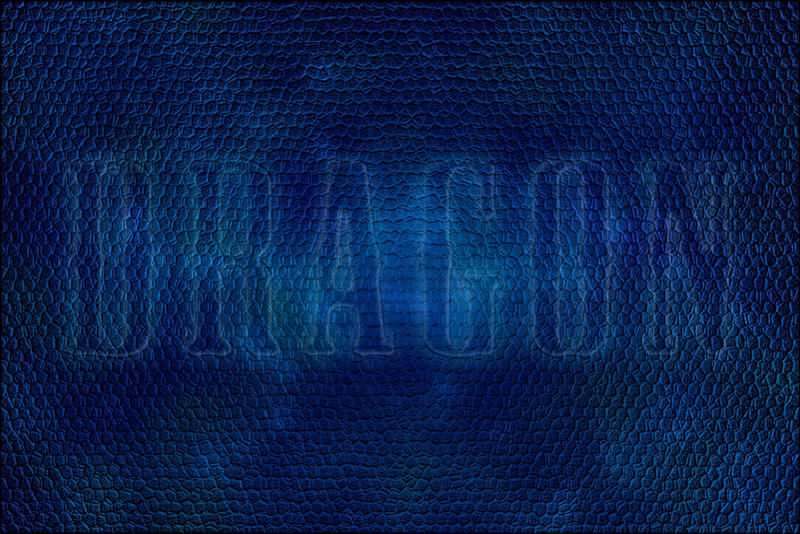 Dragon Skin: Royal Blue by Daimondmask on DeviantArt