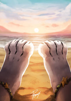 Paws, Beach and Sunset