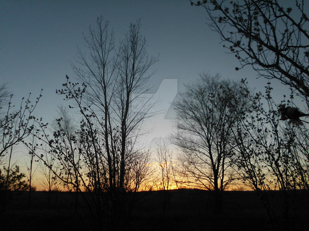Sunset Shadow Protection Sunset shadows by Aurorasunmagic on DeviantArt