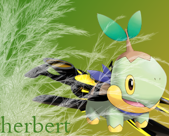 Herbert the Turtwig