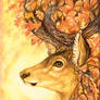 Autumn Stag