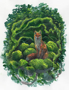 Little Moss Fox