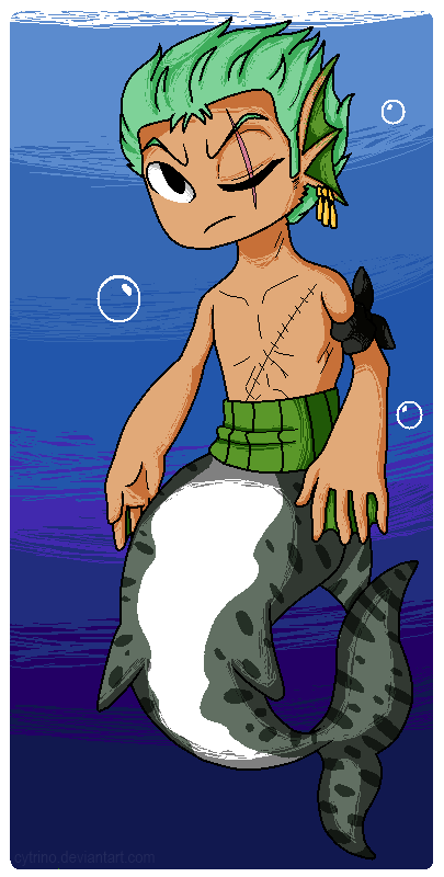 OP:Tiger Shark Zoro