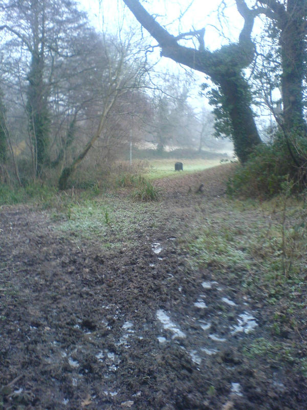 muddy path