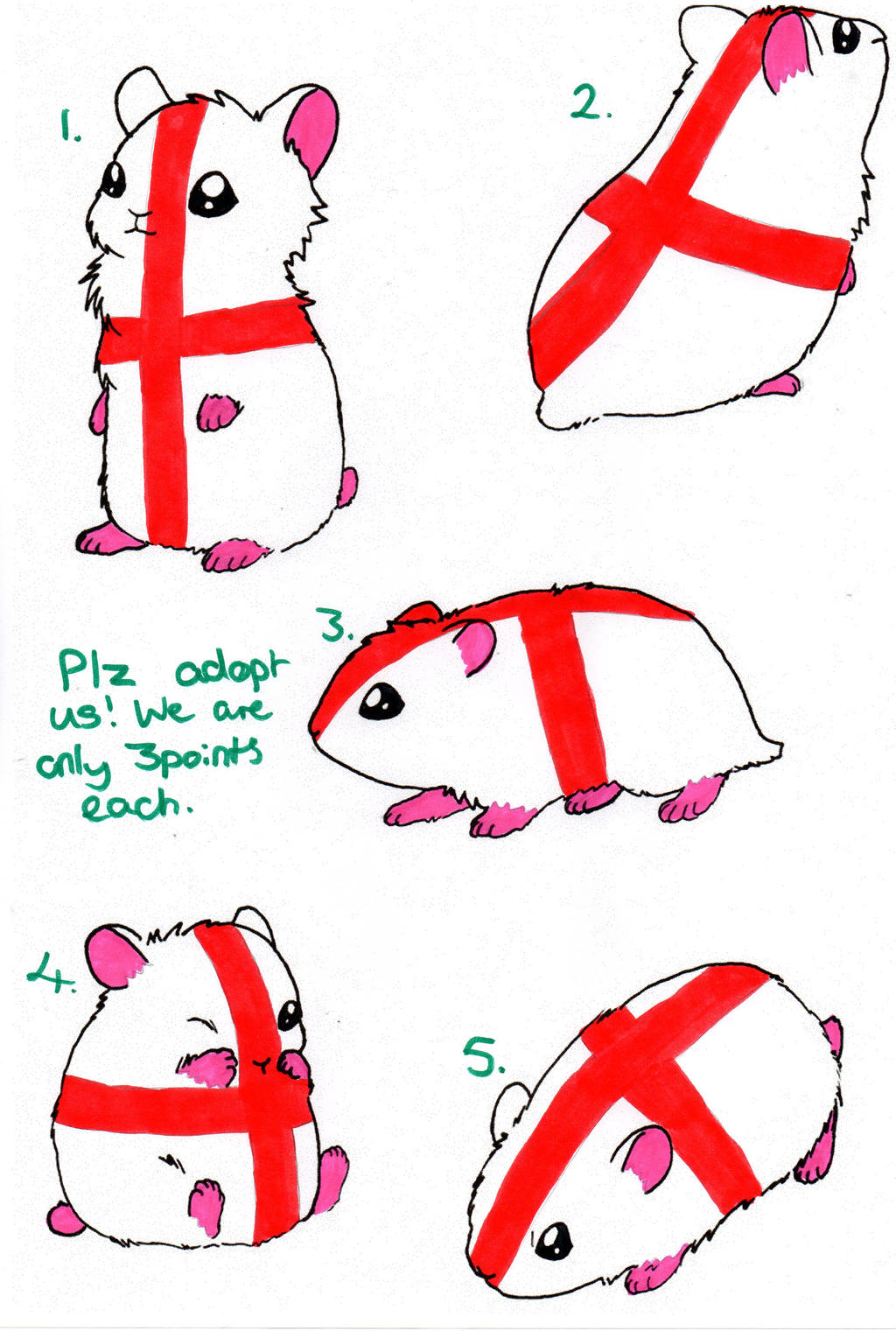 English Hamster Adoptables (3 points each) OPEN!