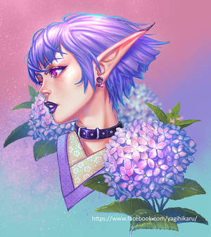 Explore The Best Ajisai Art Deviantart Explore The Best Ajisai Art Deviantart