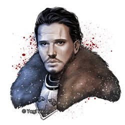 Jon Snow / The King in the North