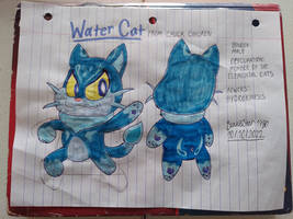 Water Cat Reference Sheet