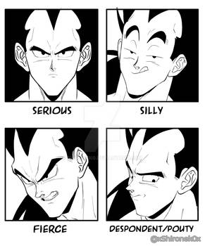 Essential expressions - Raditz 02