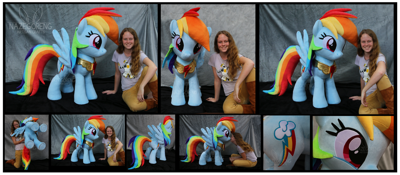 Lifesize Rainbow Dash Custom Plush by Nazegoreng