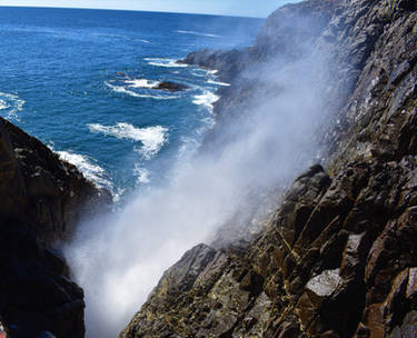 Blowhole(2)