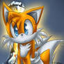 Tails stare...2