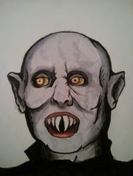 The Vampire from the Salems Lot