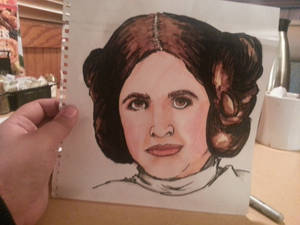 Big Haired Leia