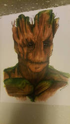 Groot.