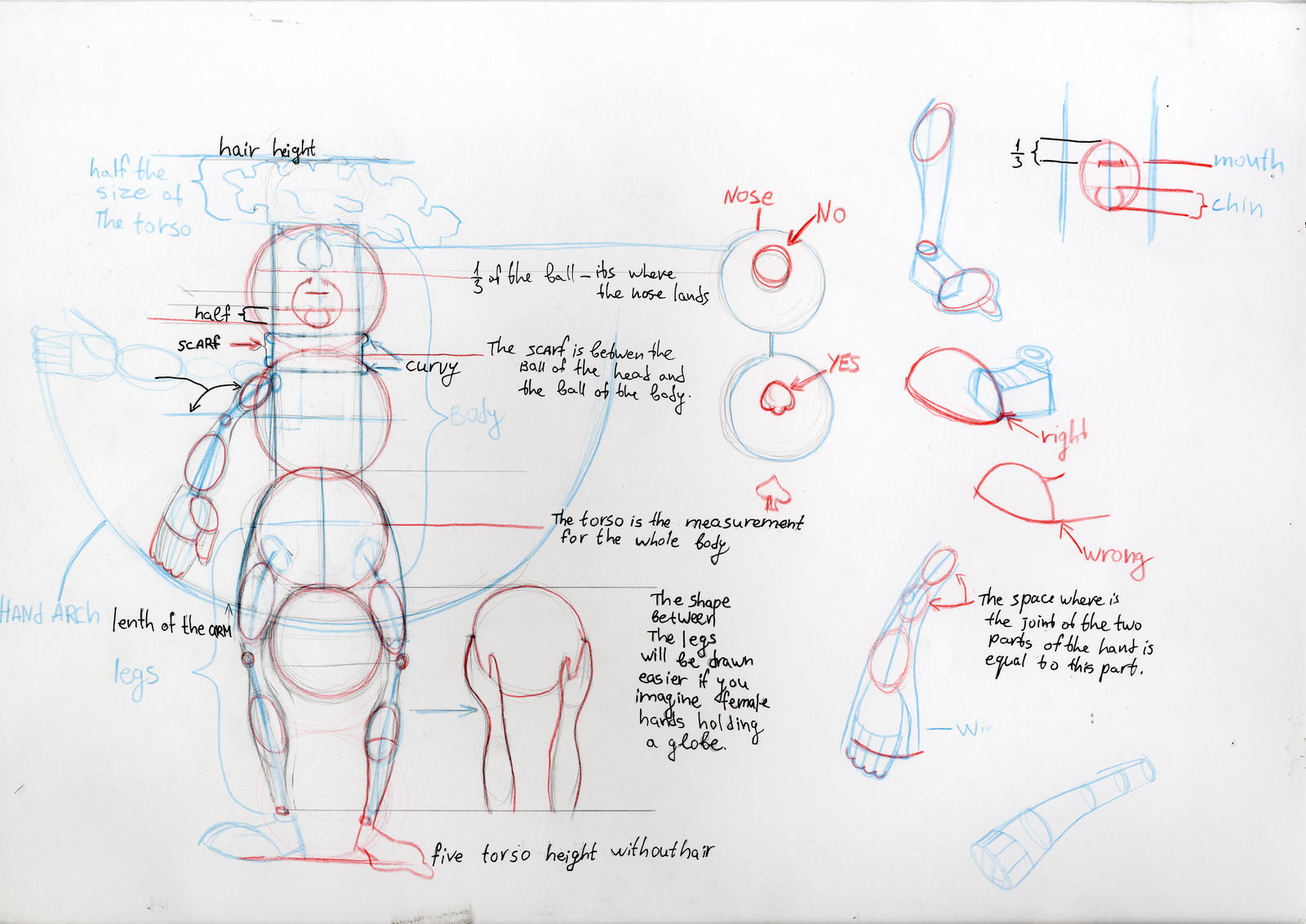 Character design Construction Sheet by DuxLepuS on DeviantArt
