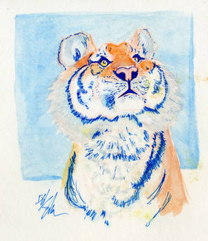 Watercolor Tiger