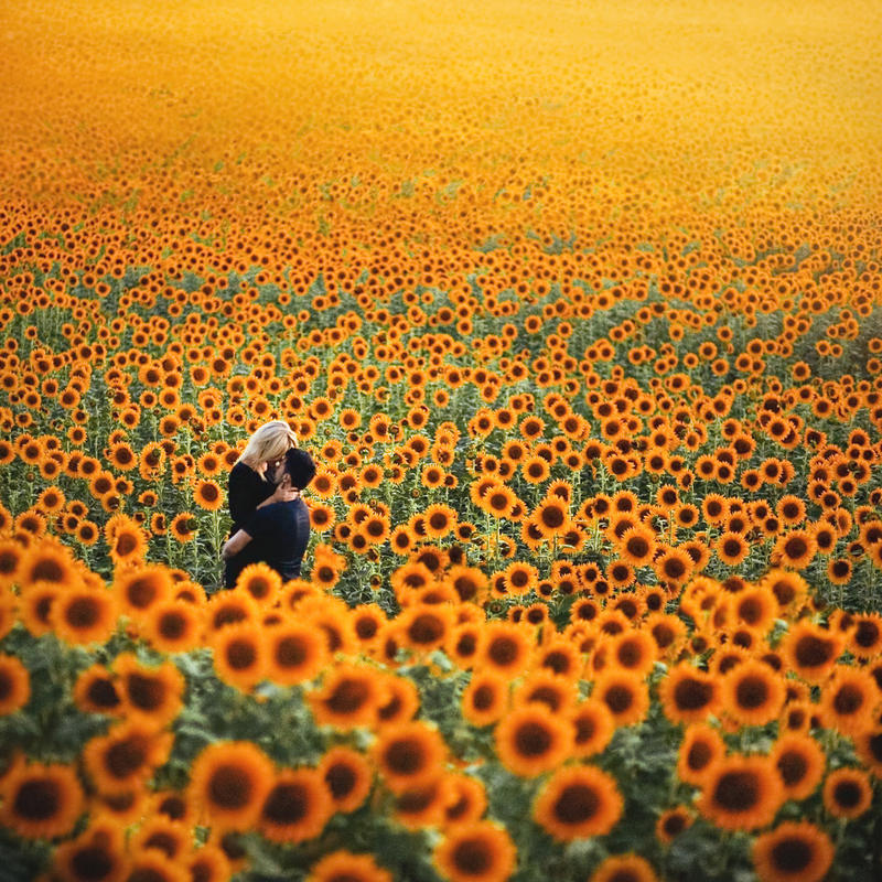 Fields of Gold.. by Khomenko