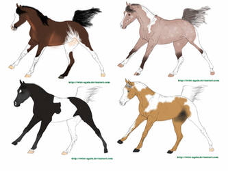 Paint horse adopts-4/4 open!!!