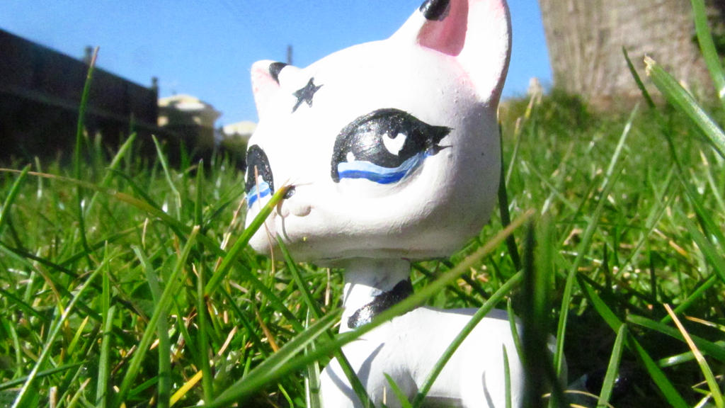 The Leader Of Windclan By DragonQueensLair On DeviantArt the-leader-of-windclan-by-dragonqueenslair-on-deviantart