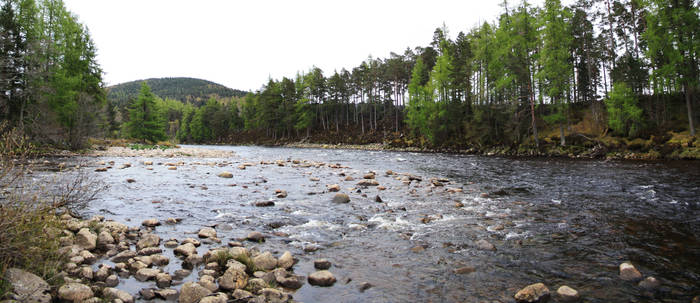 The River Dee