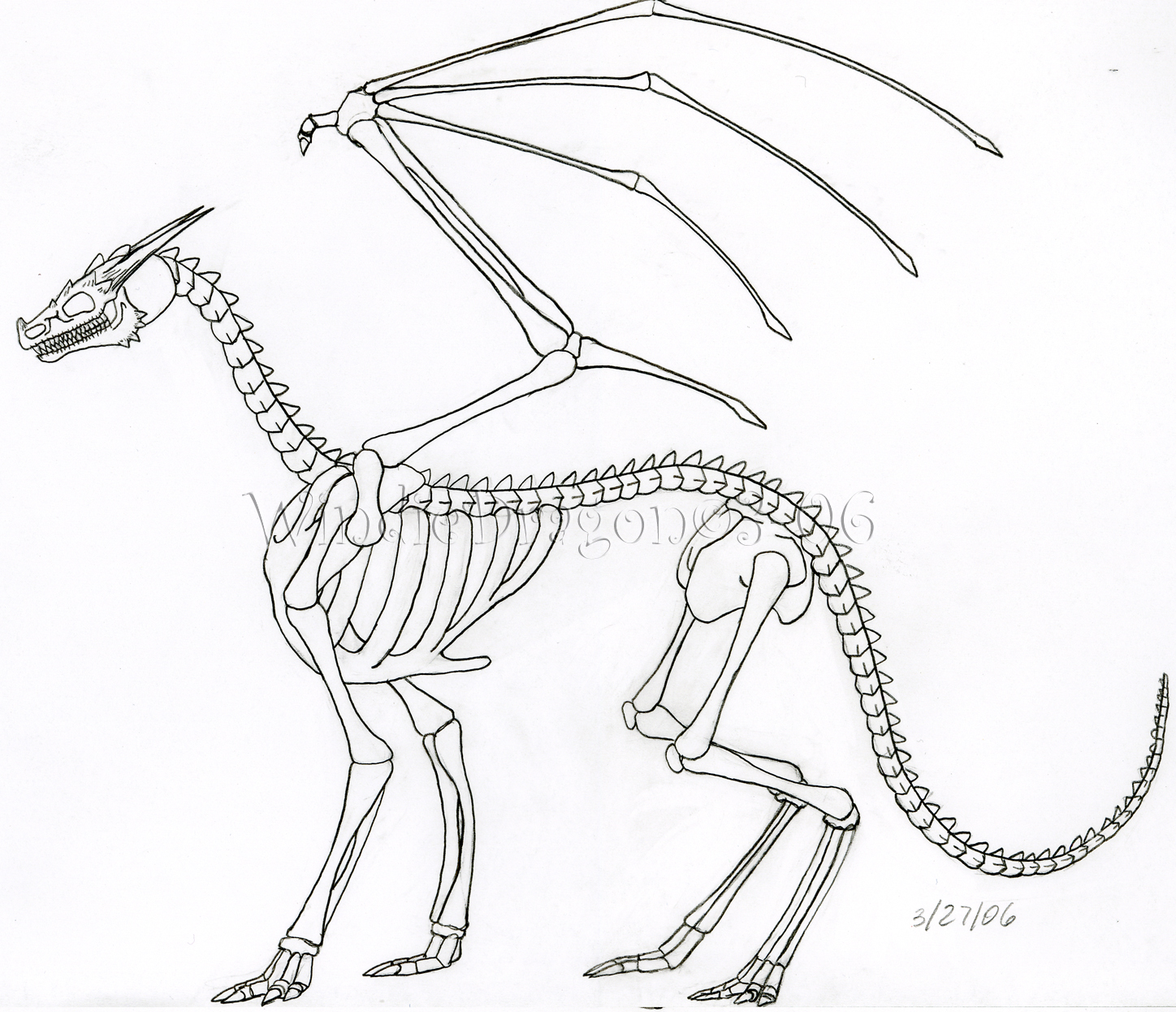 dragon skeleton drawing